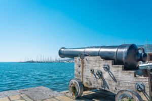black and gray canon near body of water during daytime