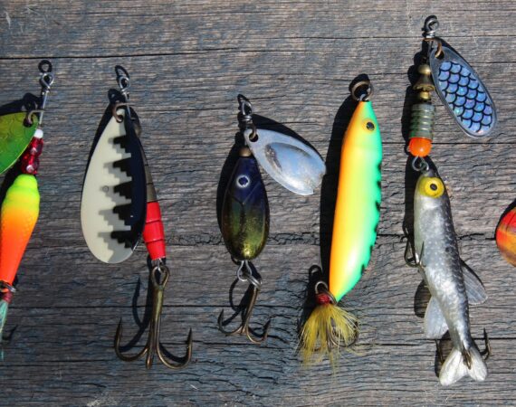 black and yellow fish wall decor